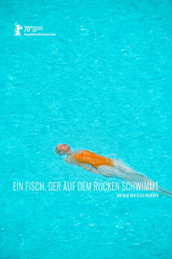 A Fish Swimming Upside Down (2020)