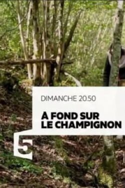 A fond sur le champignon (2017)