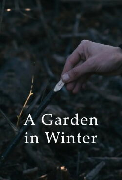A Garden in Winter (2024)