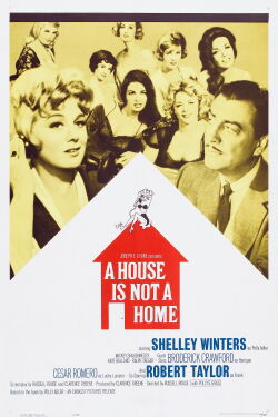 A House Is Not a Home (1964)