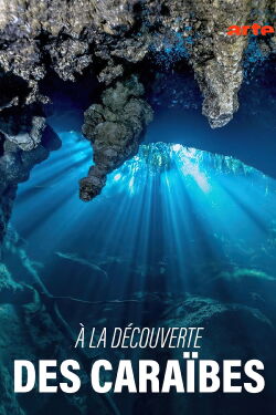 A la découverte des Caraïbes (2017)