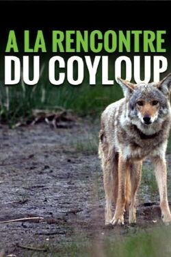 A la rencontre du coyloup (2013)