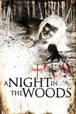 A Night In the Woods (2011)