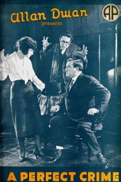 A Perfect Crime (1921)
