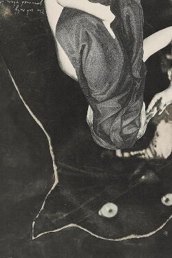 A Picture of Sarah Schumann (1978)