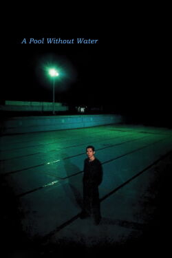 A pool without water (1982)
