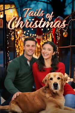 A Shelter and Season’s Greetings (2024)