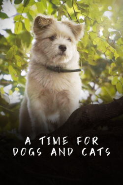 A Time for Dogs and Cats (2020)