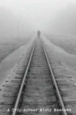 A Trip Across Misty Meadows (1973)