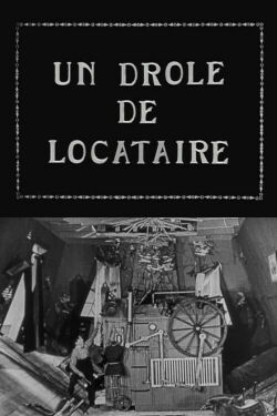 A Wild Roomer (1927)