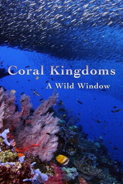 A Wild Window: Coral Kingdoms (2016)