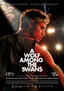 A Wolf Among the Swans (2025)