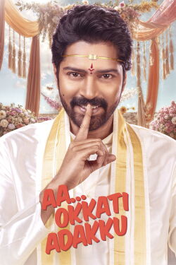 Aa Okkati Adakku (2024)