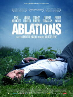 Ablations (2014)