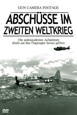 Abschüsse im Zweiten Weltkrieg - Gun Camera Footage (2001)