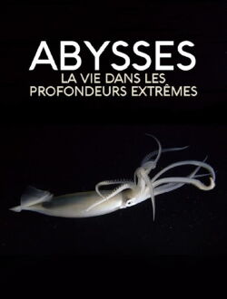 Abysses, la vie dans les profondeurs extrêmes (2018)