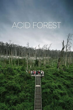 Acid Forest (2018)