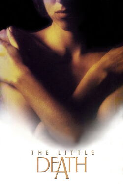 Acoso a una dama (1996)