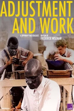 Adjustment and Work (1986)