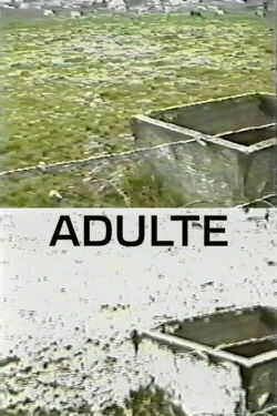 Adulte (1998)