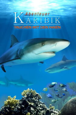 Adventure Caribbean 3D: Diving With Sharks (2012)