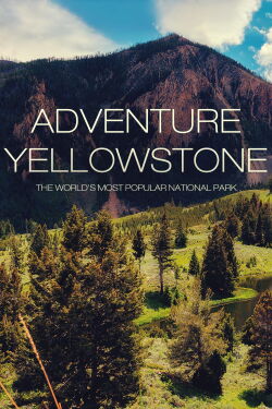 Adventure Yellowstone - Der Ruf der Wildnis (2013)