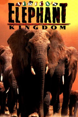 Africa's Elephant Kingdom (1998)