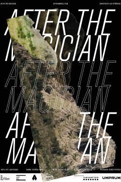 After the Magician (2020)
