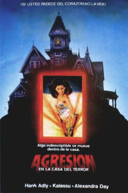 Agresión en la casa del terror (1982)