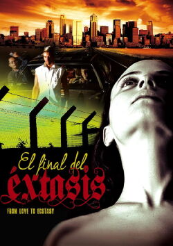 Al final del éxtasis (2010)