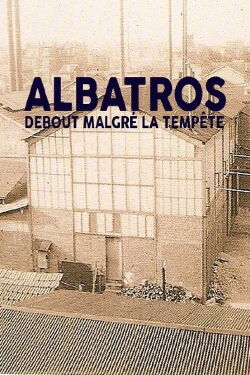 Albatros, debout malgré la tempête (2010)