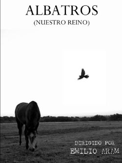 Albatross (2024)