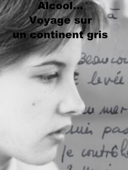 Alcool... Voyage sur un continent gris (2022)