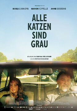 Alle Katzen sind grau (2014)