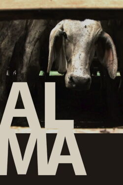 ALMA (2011)