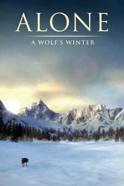 Alone a Wolf's Winter (2021)