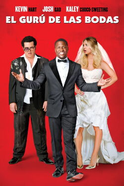 Alquiler de padrinos (2015)