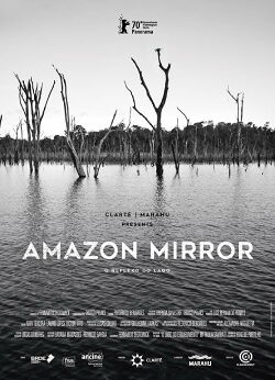 Amazon Mirror (2022)