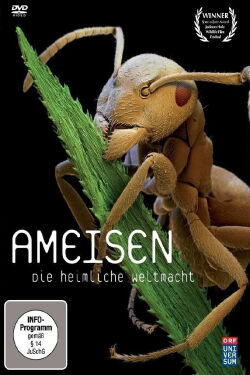 Ameisen - Die heimliche Weltmacht (2004)