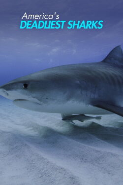 America's Deadliest Sharks (2019)