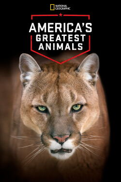 America's Greatest Animals (2012)