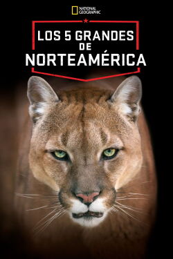 America's Greatest Animals (2012)
