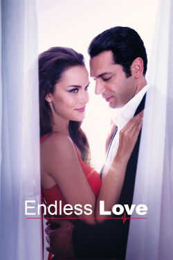 Amor sin fin (2017)