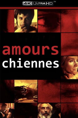 Amours chiennes (2000)