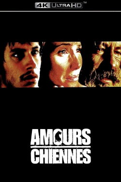 Amours chiennes (2000)