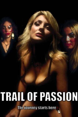 Amours tumultueuses (2003)