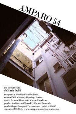 Amparo 54 (2018)