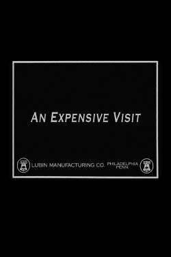 An Expensive Visit (1915)