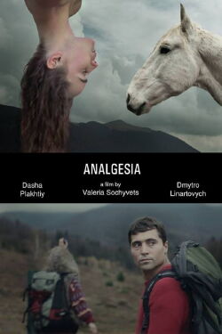 Analgesia (2014)