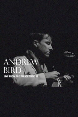 Andrew Bird: Live From The Palace Theatre (2019)